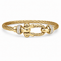 Haven Buckle